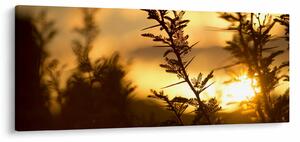 Tablou - Apus de soare (120x50 cm)