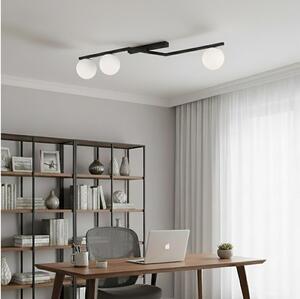 Plafonieră de tavan NATON 3xE14/10W/230V negru/alb
