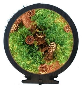 Li-Go 23654 - Decorațiune de masă LED dimabilă LED/12W/230V 20x22 cm mușchi