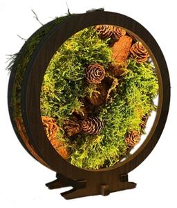 Li-Go 23654 - Decorațiune de masă LED dimabilă LED/12W/230V 20x22 cm mușchi