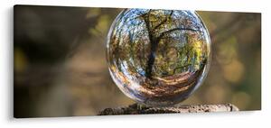 Tablou - Reflecție intr-o sferă transparentă (120x50 cm)
