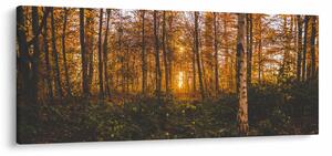 Tablou - Pădurea toamna (120x50 cm)