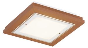 Argon 7268 - Plafonieră TABOR 2xE27/15W/230V 32x32 cm teracotă