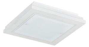 Argon 1865 - Plafonieră TABOR, 4x E27/15W/230V, 42x42 cm, albă