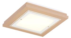 Argon 7267 - Plafonieră TABOR 2xE27/15W/230V 32x32 cm bej