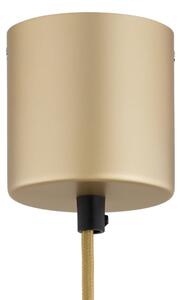 Argon 8869 - Lustră LED suspendată pe cablu BOLTON LED/12,5W/230V 3000K aurie