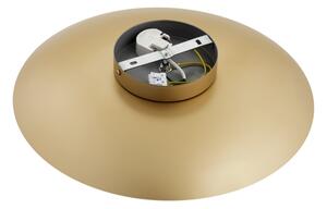 Argon 8865 - Aplica LED de perete BOLTON, 12,5W, 230V, 3000K, auriu