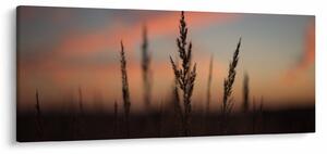 Tablou - Silueta plantei (120x50 cm)