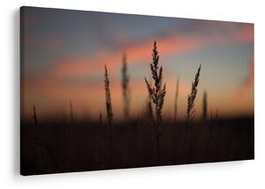 Tablou - Silueta plantei (90x60 cm)