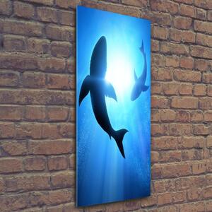 Tablou sticlă siluete de rechini