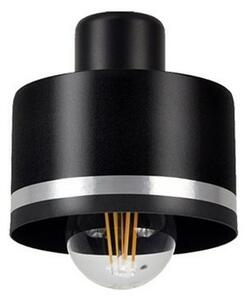 Lustră aplicată BODO SILVER 3xE27/60W/230V