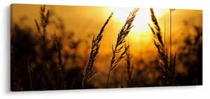 Tablou - Apus de soare (120x50 cm)