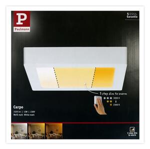 Plafonieră LED/13W CARPO 230V 2300-3000K Paulmann 79796