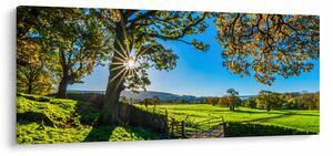 Tablou Privire la câmp (120x50 cm)