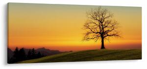 Tablou - Copacul în câmp (120x50 cm)