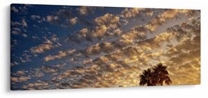 Tablou - Palmieri între nori (120x50 cm)