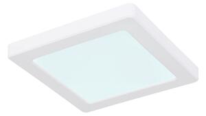 Plafonieră LED LASSE LED/12W/230V 3000/4000/6500K albă Globo 12380-12W