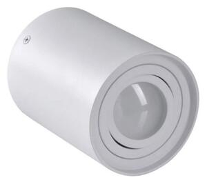 Lampă spot HADAR R1 1xGU10/10W/230V alb