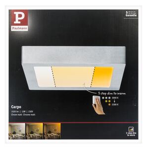 Plafonieră LED/13W CARPO 230V 2300/2500/3000K Paulmann 79794