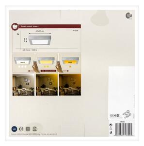 Plafonieră LED/13W CARPO 230V 2300/2500/3000K Paulmann 79794