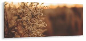 Tablou - Iarba înflorită (120x50 cm)