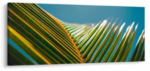 Tablou - Frunze de palmier (120x50 cm)