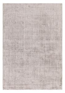 Covor gri 230x160 cm Aston - Asiatic Carpets