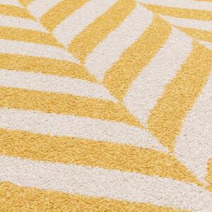Covor galben 240x66 cm Muse - Asiatic Carpets