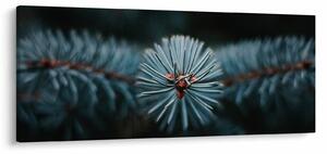 Tablou -Crenguțe ale unui conifer (120x50 cm)