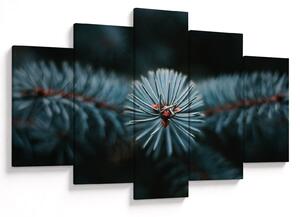 Tablou -Crenguțe ale unui conifer (150x105 cm)