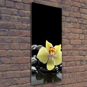 Fotografie imprimată pe sticlă Orhideea și pietre
