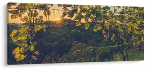 Tablou - Podgorii (120x50 cm)