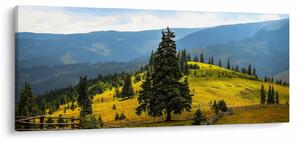 Tablou - Lunca de munte (120x50 cm)