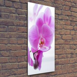 Tablou din Sticlă orhidee roz