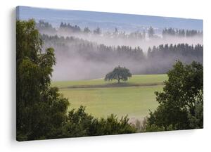 Tablou - Lunca cu copac (90x60 cm)