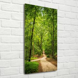 Fotografie imprimată pe sticlă Calea în pădure