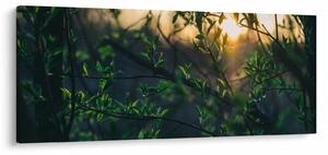 Tablou - Soarele strălucind printre crengile copacilor (120x50 cm)