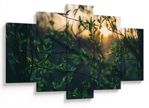 Tablou - Soarele strălucind printre crengile copacilor (150x105 cm)