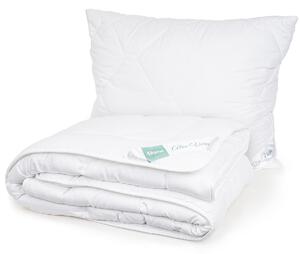 Set pilotă și pernă 4Home Aloe Premium , 140 x220 cm, 70 x 90 cm