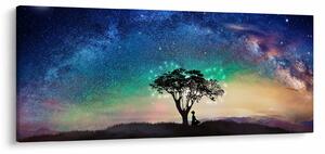 Tablou - Relaxare sub stele (120x50 cm)