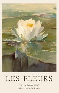 Reproducere White Water Lily (Les Fleurs / The Flower Collection)