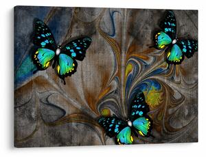 Tablou - Fluturi strălucitori în imagine (70x50 cm)