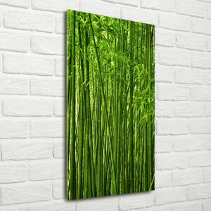 Fotografie imprimată pe sticlă pădure de bambus