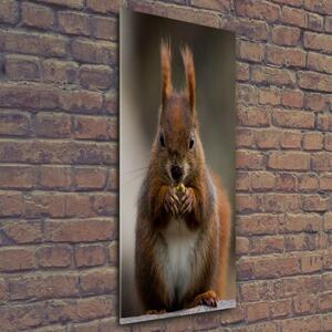 Imagine de sticlă veveriţă