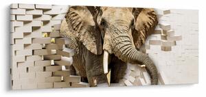 Tablou - Elefant spârgând peretele (120x50 cm)