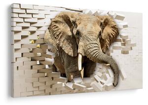 Tablou - Elefant spârgând peretele (90x60 cm)