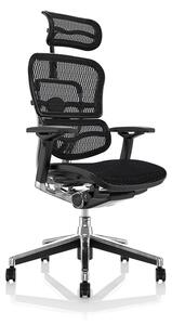 Scaun de birou - ERGOHUMAN Mesh Negru - precomanda 7-12 zile