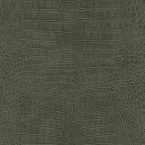 Tapet vlies de perete rasch african queen 751352