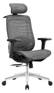 ErgoDynamic Icon-H -Black-, scaun de birou, full mesh, sezut translatie 5 cm
