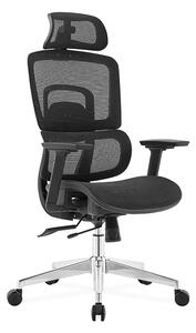 Ergodynamic Gary H - Scaun de birou - Full mesh - black, translatie sezut, brate 3D
